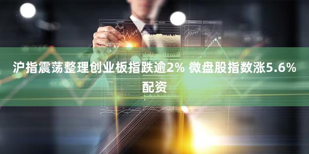 沪指震荡整理创业板指跌逾2% 微盘股指数涨5.6%配资