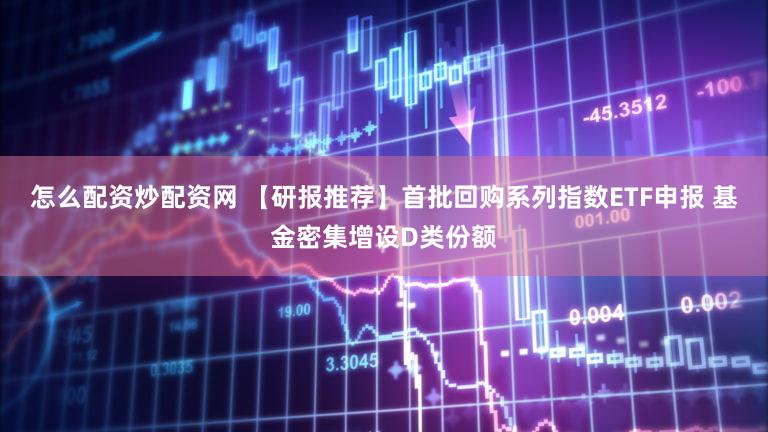 怎么配资炒配资网 【研报推荐】首批回购系列指数ETF申报 基金密集增设D类份额