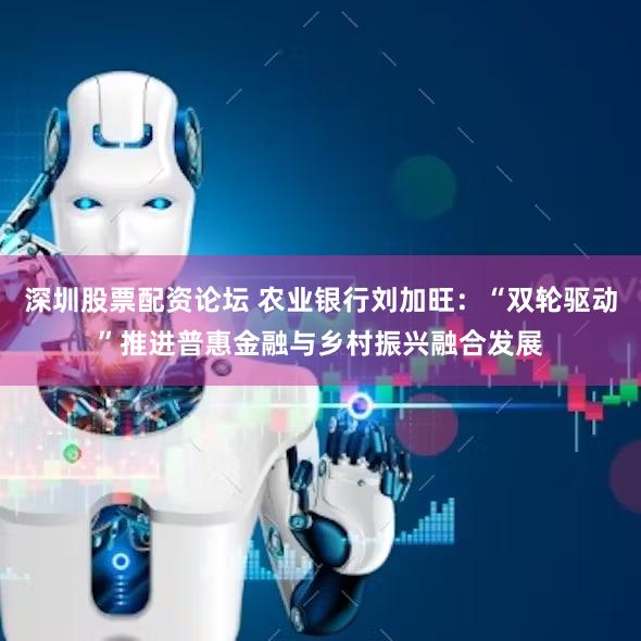 深圳股票配资论坛 农业银行刘加旺：“双轮驱动”推进普惠金融与乡村振兴融合发展