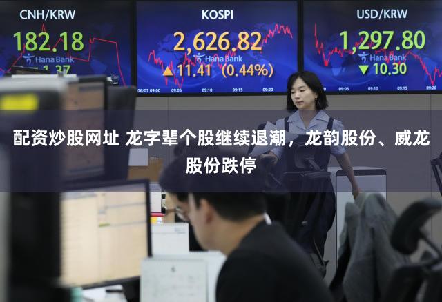 配资炒股网址 龙字辈个股继续退潮，龙韵股份、威龙股份跌停
