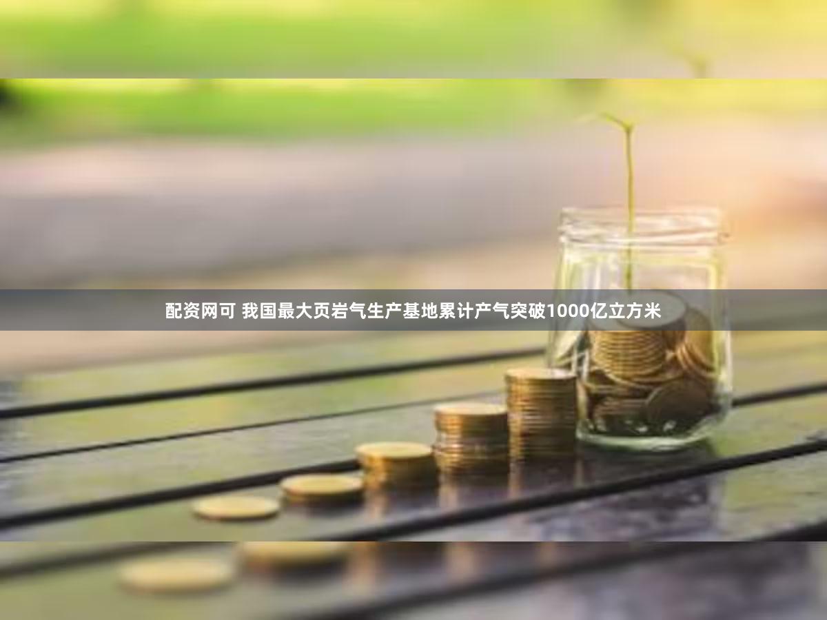 配资网可 我国最大页岩气生产基地累计产气突破1000亿立方米