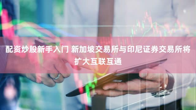 配资炒股新手入门 新加坡交易所与印尼证券交易所将扩大互联互通