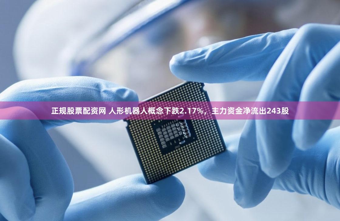 正规股票配资网 人形机器人概念下跌2.17%，主力资金净流出243股