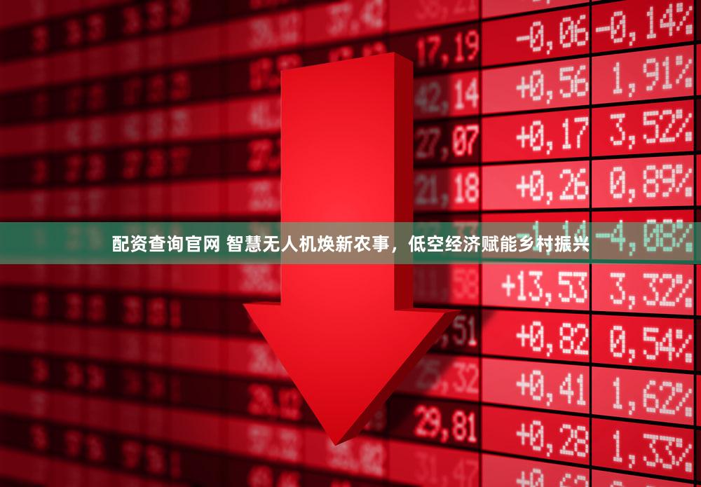 配资查询官网 智慧无人机焕新农事，低空经济赋能乡村振兴