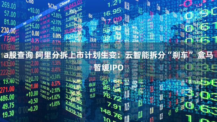 a股查询 阿里分拆上市计划生变：云智能拆分“刹车” 盒马暂缓IPO