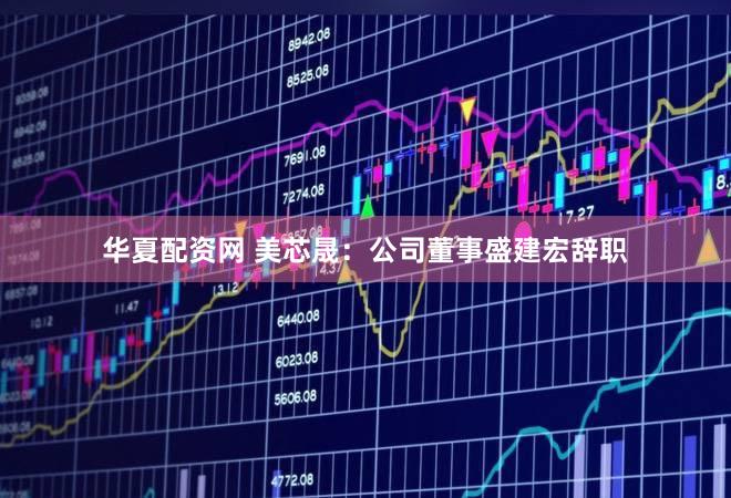 华夏配资网 美芯晟：公司董事盛建宏辞职