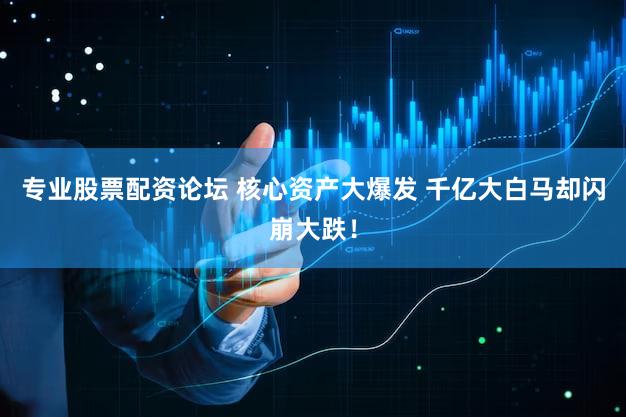 专业股票配资论坛 核心资产大爆发 千亿大白马却闪崩大跌！