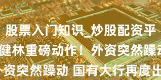 股票入门知识_炒股配资平台_配资 王健林重磅动作！外资突然躁动 国有大行再度出手？