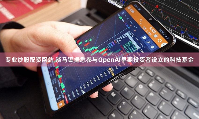 专业炒股配资网站 淡马锡据悉参与OpenAI早期投资者设立的科技基金