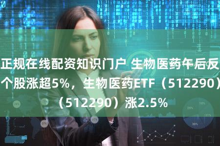 正规在线配资知识门户 生物医药午后反攻，多只个股涨超5%，生物医药ETF（512290）涨2.5%